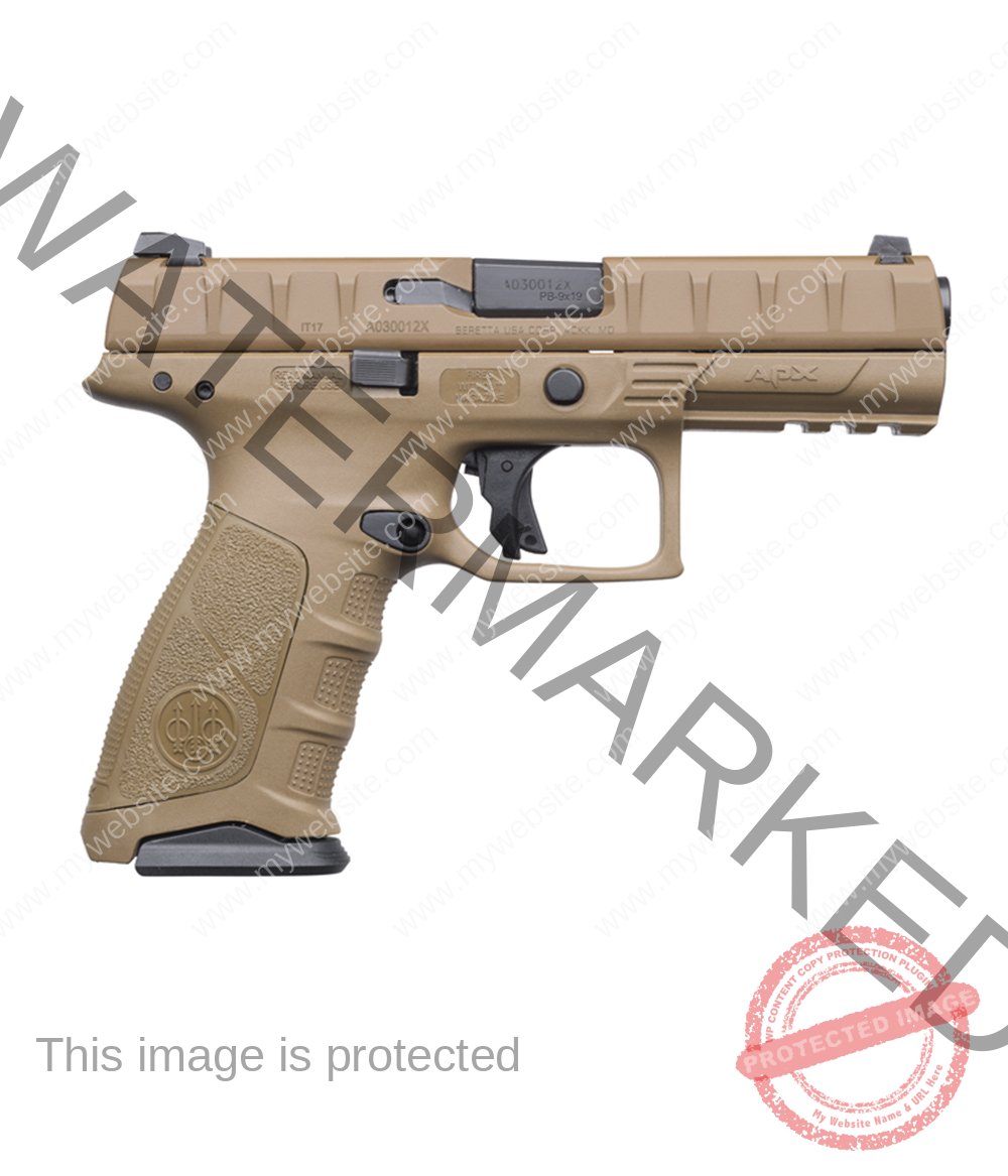 Beretta-APX-G