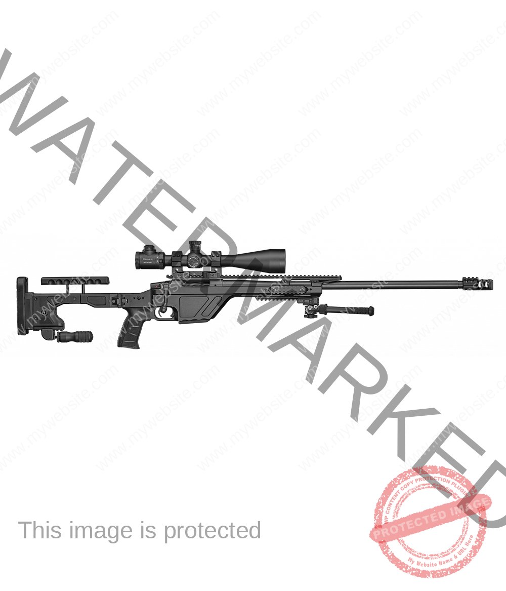 CZ-TSR-308-Win-main-Gallery