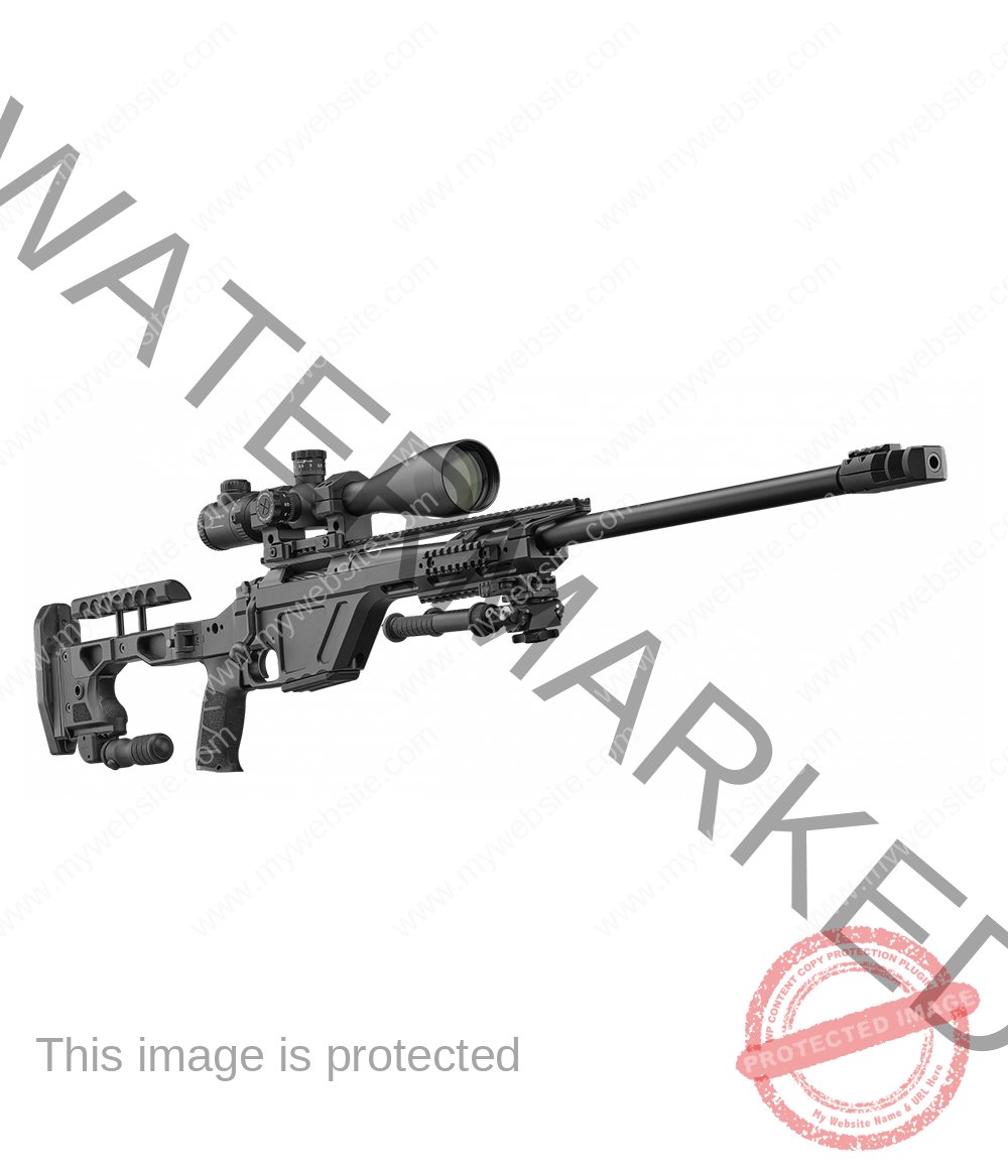 CZ-TSR-308-Win-main-Gallery_M