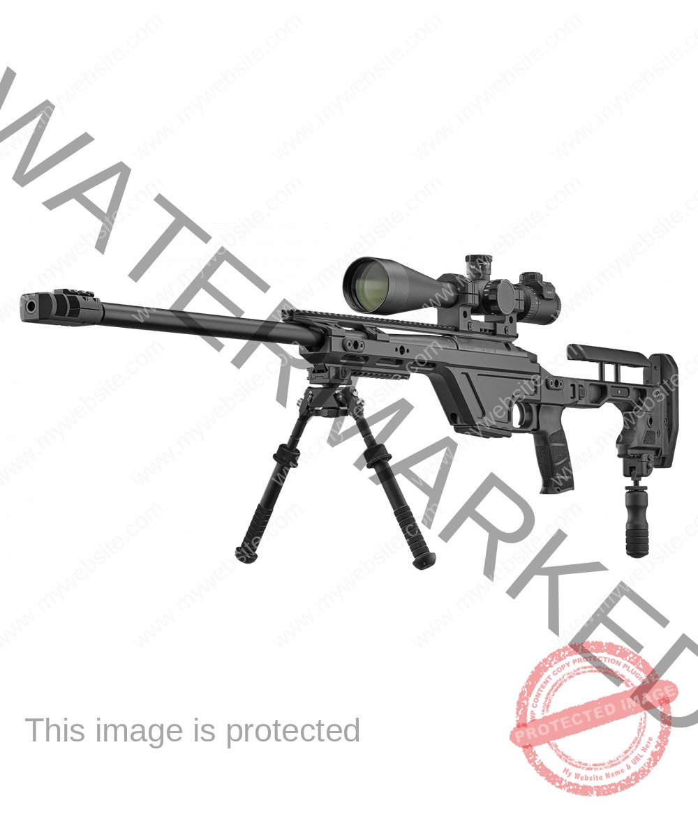 CZ-TSR-308-Win-main-GalleryD